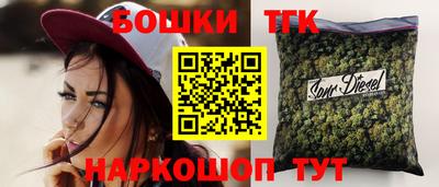 индика Рузаевка