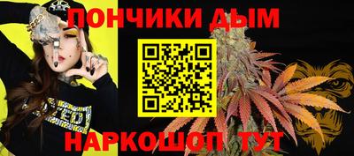 индика Рузаевка