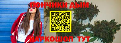 индика Рузаевка