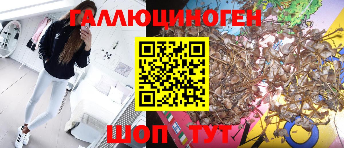 наркота  Вход с VPN  Похвистнево  Псилоцибиновые грибы ЛСД 